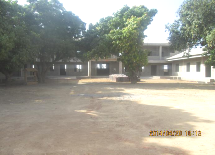 援馬里農業(yè)技術示范中心項目